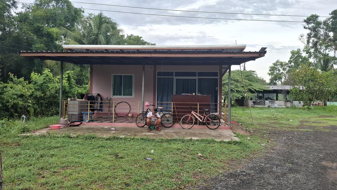 บ้านสองหลังพร้อมที่ดินสองไร่บรรยากศร่มรื่น 18