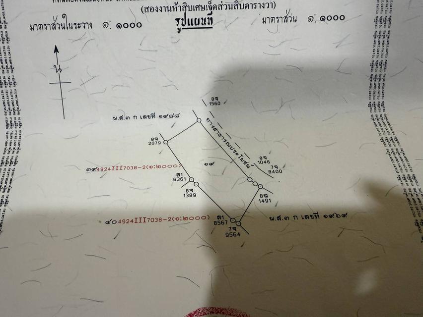ที่ดินเปล่า 5 ห้อง ห้องละ 20 ตร.วา รวม 100 ตร.วา อยู่ในเมือง ต.ทับเที่ยง และที่ดินเปล่า10 ห้อง ห้องละ25ตร.วารวม 250 ตร.วา ต.บ้านโพธิ์ อ.เมืองตรัง  6