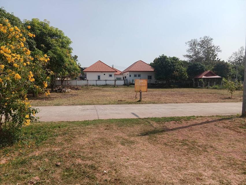 ขายที่ดิน แบ่ง 3 แปลง เจ้าของขายเอง 91 ตารางวา ขอนแก่น 2