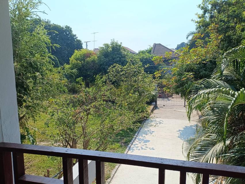 บ้านเดี่ยวให้เช่าใกล้ทะเลตกแต่งใหม่ทั้งหมดพร้อมเข้าอยู่ บรรยากาศดี ศรีราชา ชลบุรี 5