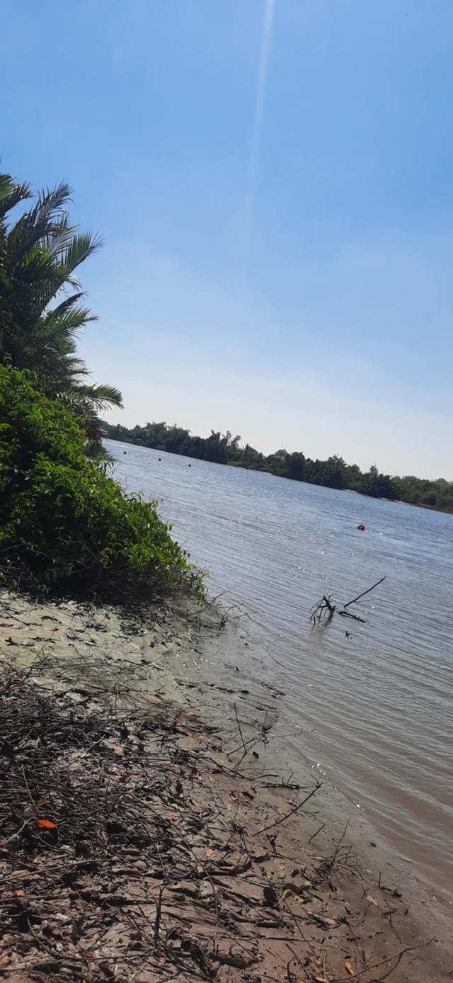 ที่ดินติดแม่น้ำบางปะกง บางกะเจ็ด/คลองเขื่อน 50 ไร่ 11