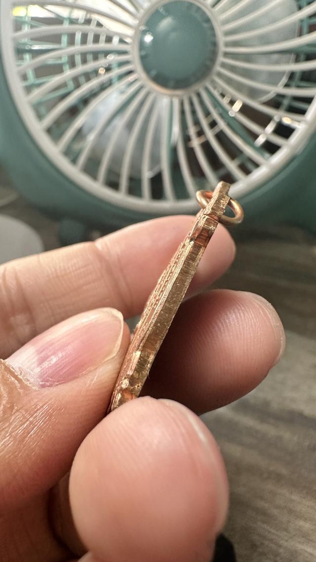 เหรียญเต่าหลวงพ่อหลิว รุ่น รวย รวย รวย รูปที่ 4