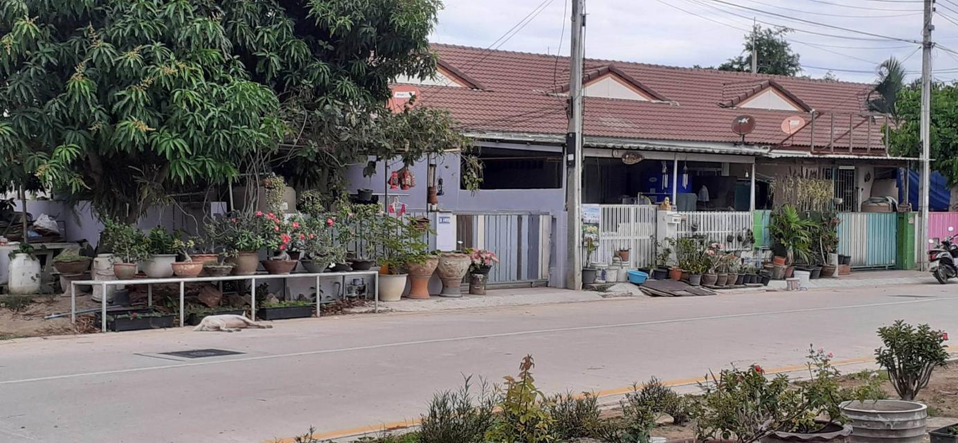 ขายที่ดินอำเภอหัวหิน 12 ไร่ 15