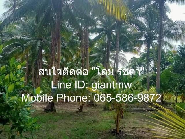 ที่ดิน ที่ดิน ต.สามกระทาย อ.กุยบุรี จ.ประจวบคีรีขันธ์ ราคาดี เยี่ยม อยู่ท่ามกลางธรรมชาติ และป่ามะพร้าว, ติดคลองสาธารณะ ซ 6