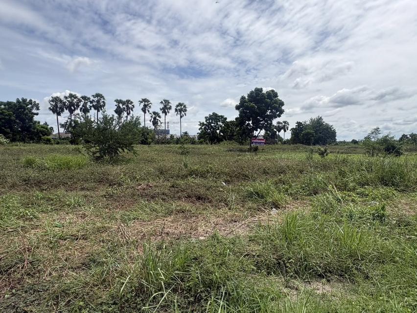 LAND FOR SALE | PHAN THONG, CHONBURI ที่ดินถมแล้วทั้งแปลง 10 ไร่ 77 ตร.ว. | เจ้าของขายเองโดยตรง 8