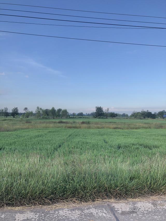 ขายที่ดินของตัวเองค่ะ 4