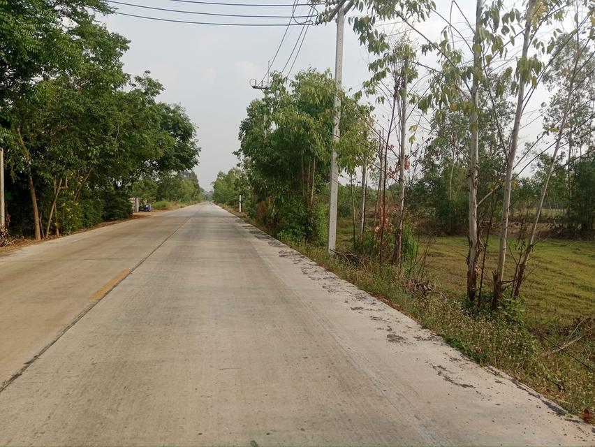 ขายที่ดินหัวหว้า ศรีมหาโพธิ 1 ไร่ ติดถนนทล.ชนบทใกล้ถนนสี่เลน3070-100เมตร จ.ปราจีนบุรี 3