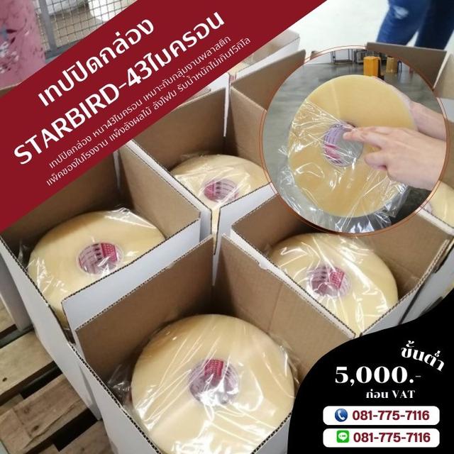 สก็อตเทป เทปปิดกล่อง081-7757116 1