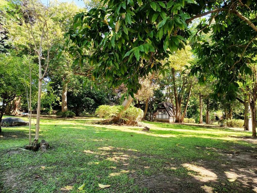 ขาย ที่ดิน ทำเลมาแรงบ้านพักตากอากาศ 209 ตร.วา ติดคลองมวกเหล็ก ใกล้บ้านพักเดลี่โฮม ปากช่อง. 2