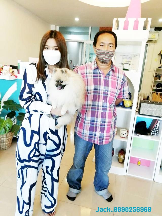 รับจับสุนัขผสมพันธ์ทุกสายพันธ์