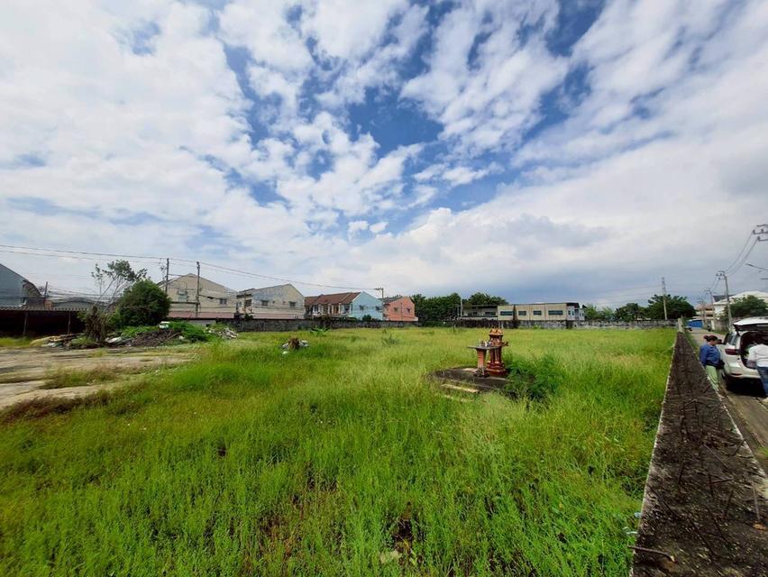 ขายถูกมากที่ดินหนองแขม 3 ไร่ 3 งาน 51 ตรว ติดถนนคอนกรีตสาธารณะ เลียบคลองภาษีเจริญฝั่งเหนือ 10 กทม. 8