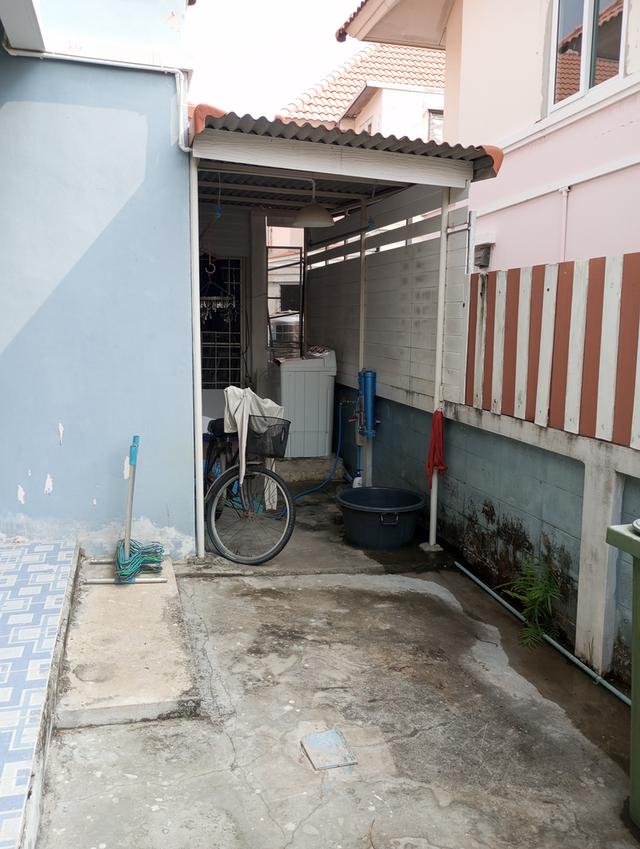 บ้านเดี่ยวหลังใหญ่  คนชอบต้นตอไม้ 14