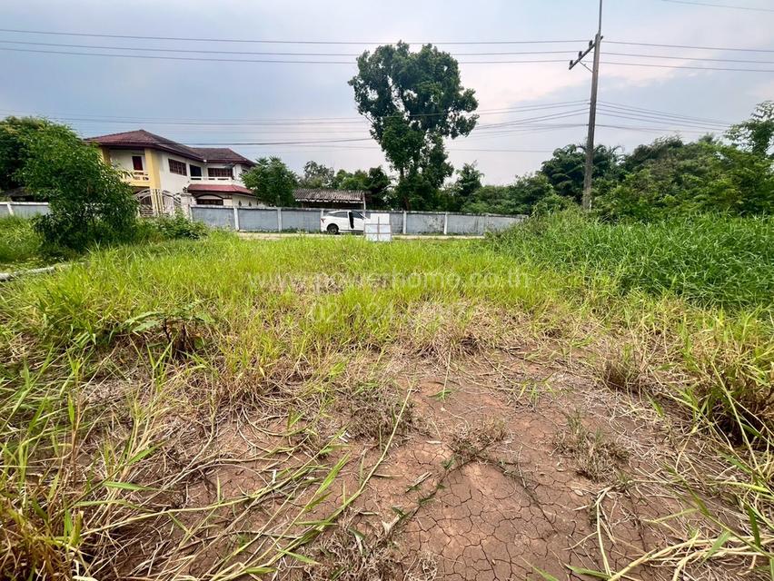 ที่ดินเปล่าถมแล้ว ซอยไอยรา ใกล้สํานักงานเทศบาลเมืองสนั่นรักษ์ ถนนรังสิต – นครนายก ต.หนองสามวัง อ.หนองเสือ จ.ปทุมธานี 8