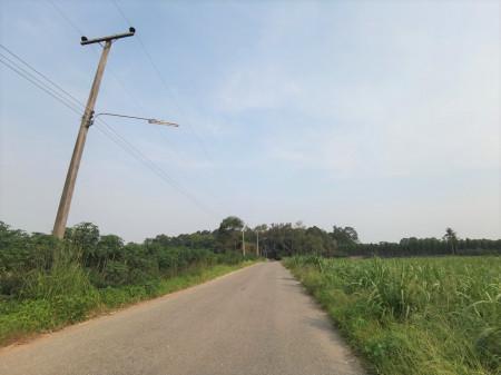 ขาย ที่ดิน แปลงใหญ่ ME152 หนองชัน หนองอิรุณ บ้านบึง ชลบุรี . 100 ไร่ 2 งาน 33 ตรว ติดทางสาธารณะ ห่างถนน 3284 เพียง 2.7 กม. 5