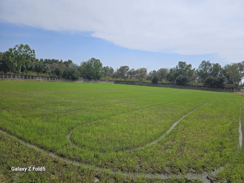 ขายที่ดินสำหรับปลูกบ้านที่ตำบลบ้านแป้งใกล้พระราชวังบางปะอินจังหวัดพระนครศรีอยุธยา 5