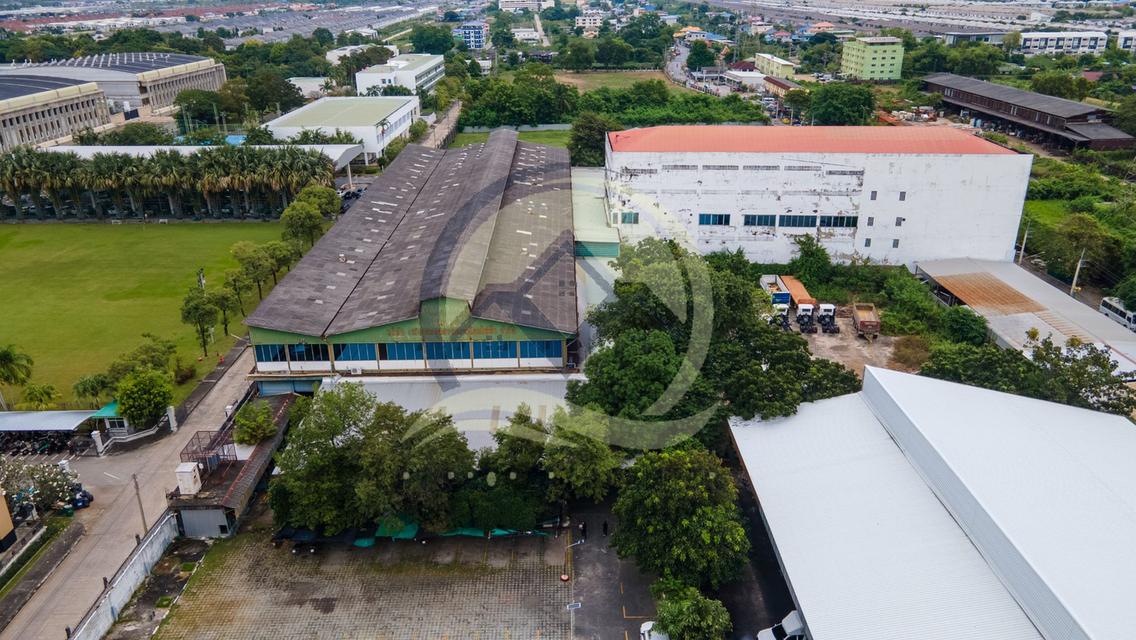 ขาย ที่ดินพร้อมโรงงาน เนื้อที่ 10-3-40 ไร่ (4,340 ตร.ว.) ซอยคลองหลวง 8 ปทุมธานี 6