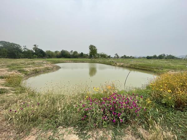 ที่ดินสวย ทำเลดี พร้อมระบบน้ำชลประทานฟรี เขาขลุง บ้านโป่ง ราชบุรี ติดถนนใหญ่ ใกล้กรุงเทพ 8