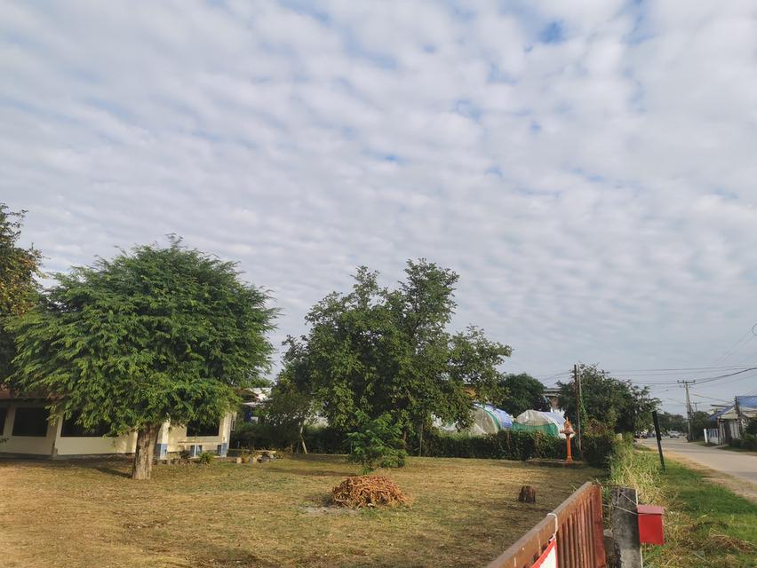 ที่ดิน​ 6​ ไร่​ 1​ งาน​ 31​ ตารางวา​ 10