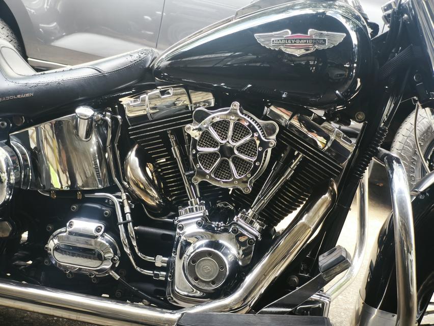 Harley Davidson heritage sofltail 6