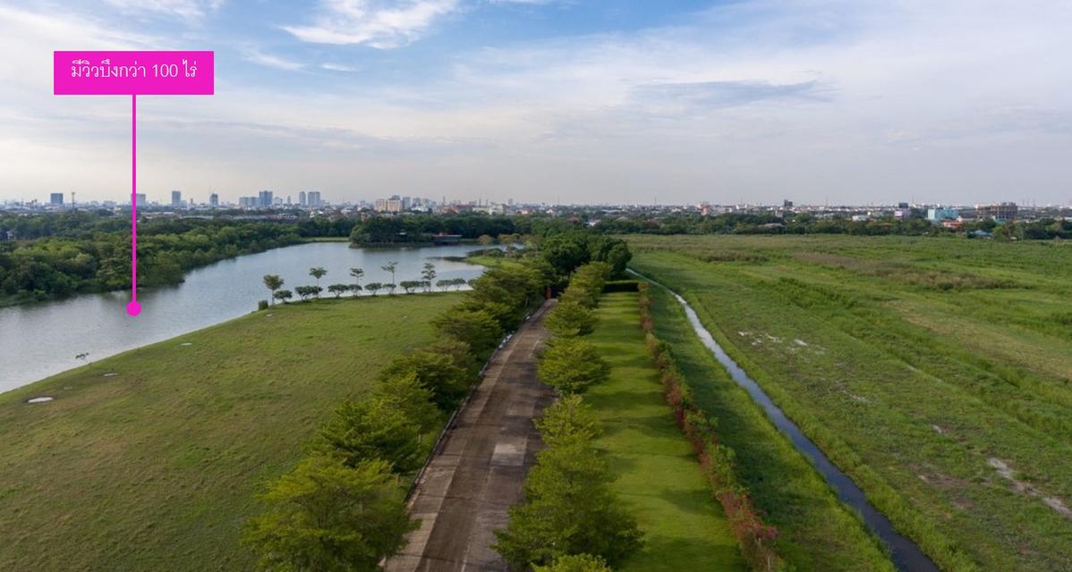 ขายที่ดิน บ้านไม้ล้อมเรือน/พร้อมพันธุ์ ปาร์ค (215 ตรว.) แปลงมุมสุดท้าย วิวสวยที่สุดในโครงการ 19