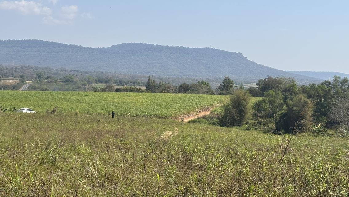 ที่ดิน เปล่า อยู่ติดถนน 304 เพียง 5 นาที วิวสวย บนภูเขา วังน้ำเขียว 4