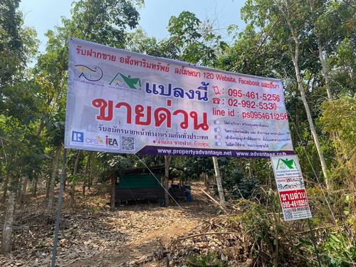 ขายที่ดินสวนยาง ขนาด 40-1-39 ไร่ กรีดขายได้แล้ว ทำเลดี วิวแม่น้ำโขง - จังหวัดหนองคาย 1