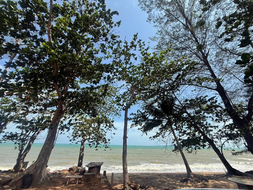 ขายที่ดิน จังหวัดระยอง ติดทะเล สวยที่สุดแปลงสุดท้าย 4