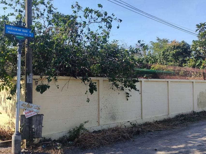 ขายที่ดินติวานนท์34 ปากเกร็ด นนทบุรี 300 ตรว แปลงสวย ติวานนท์-ปากเกร็ด 8