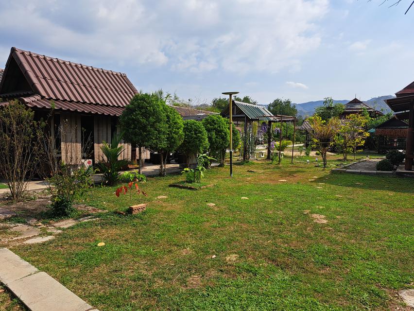 ขายบ้านสวนบนเนื้อที่1ไร่1งาน39ตรว. 8