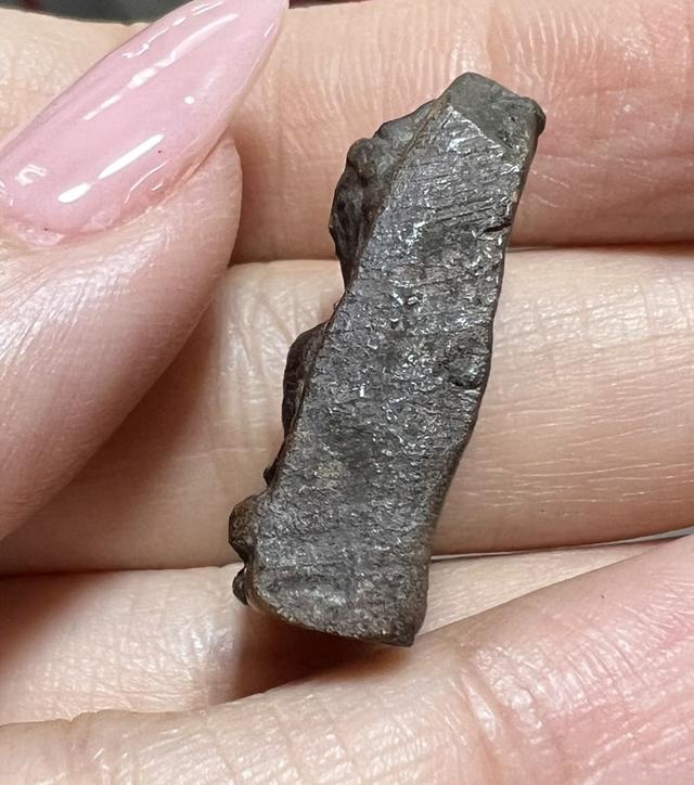 ให้เช่าค่ะ พระผงสุพรรณ 4