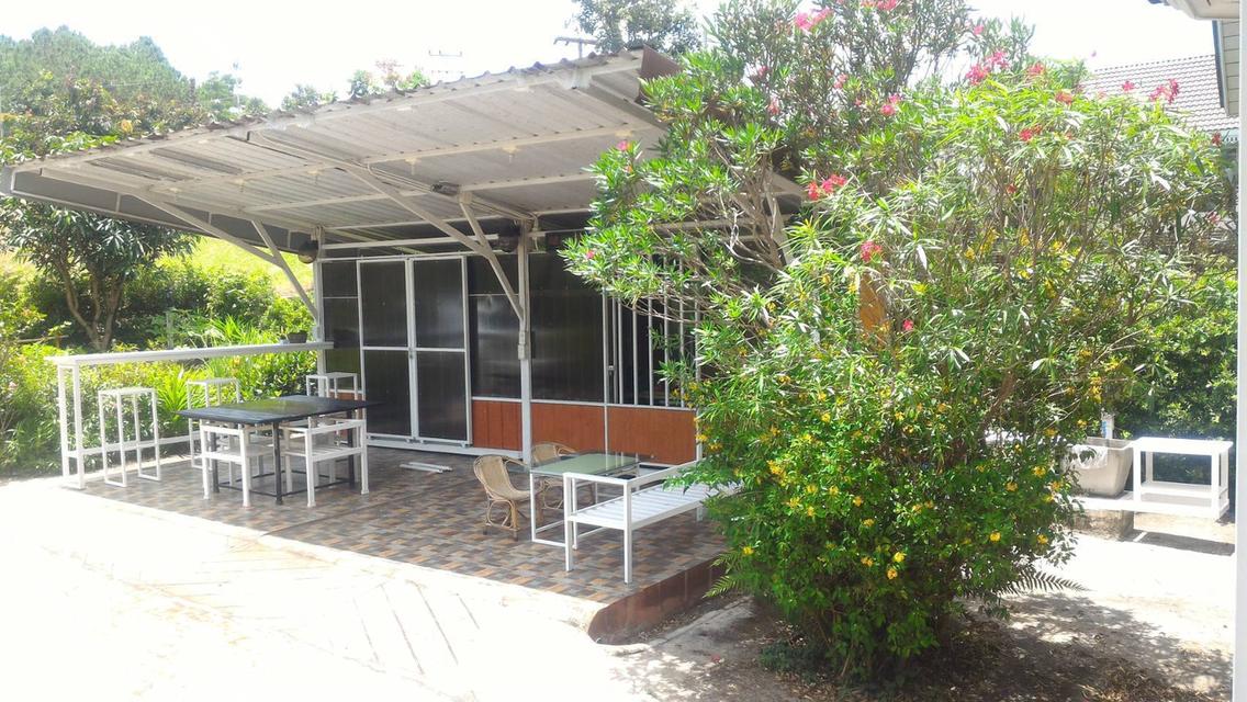 ขาย ที่ดิน พร้อม บ้าน 3 หลัง เขาค้อไฮแลนด์รีสอร์ท เพชรบูรณ์ เขาค้อ