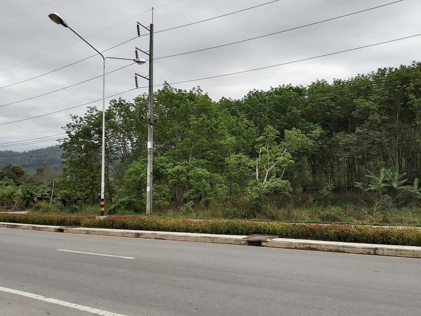 ที่ดินสวนยางพร้อมกรีด 3ไร่1งาน60ตรว 3ล้านบาท 8