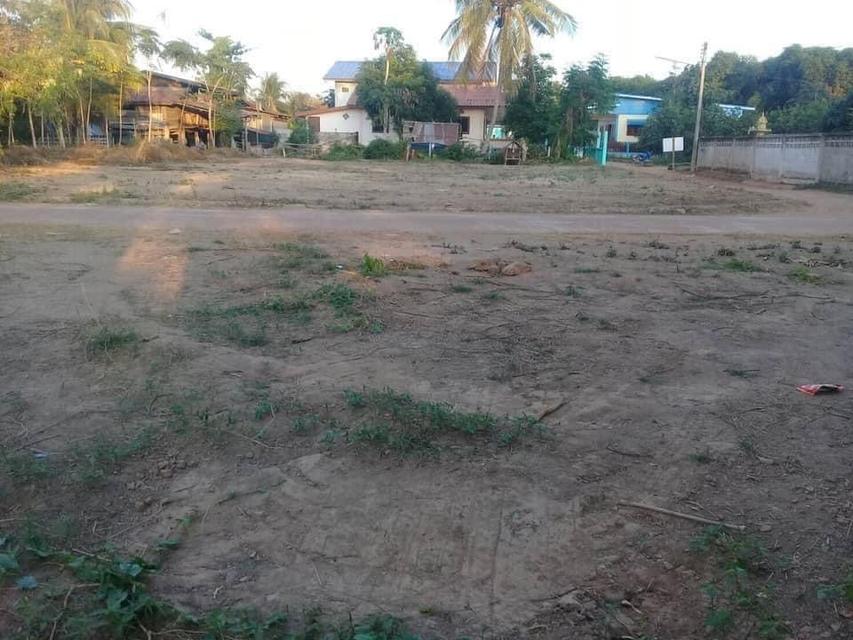 ที่ดิน สุโขทัย