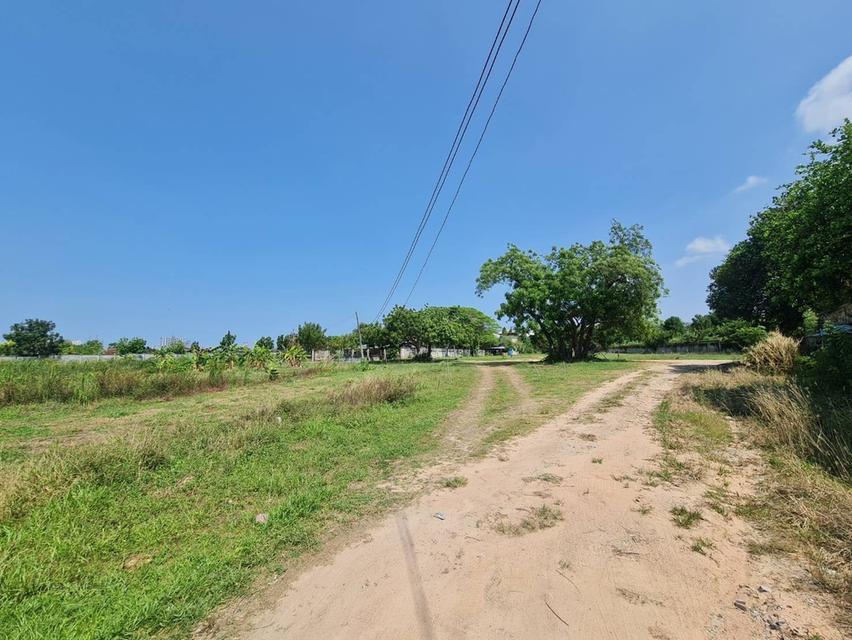 ขายที่ดินพัทยาใต้ 📍ซอยสุขุมวิท 58 และ 60  12