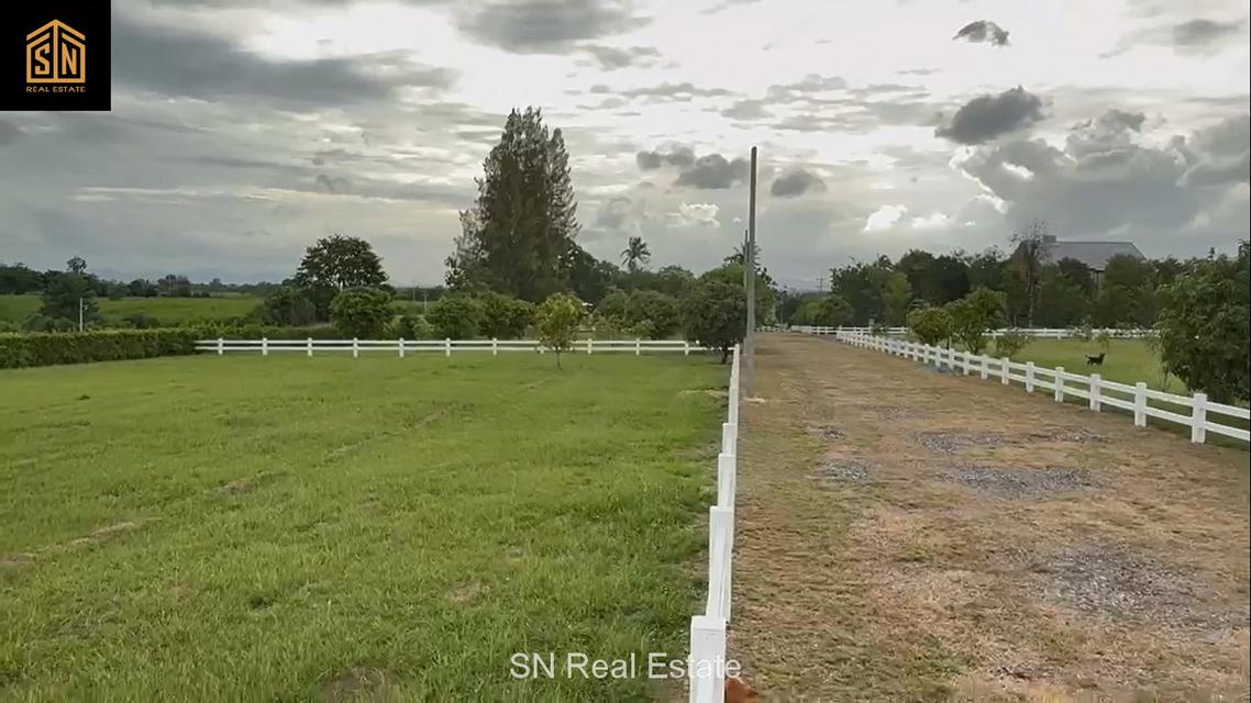 ขาย ที่ดินจัดสรร เขาใหญ่ อำเภอปากช่อง สำหรับปลูกบ้านพัก วิวภูเขา บรรยากาศดี 7