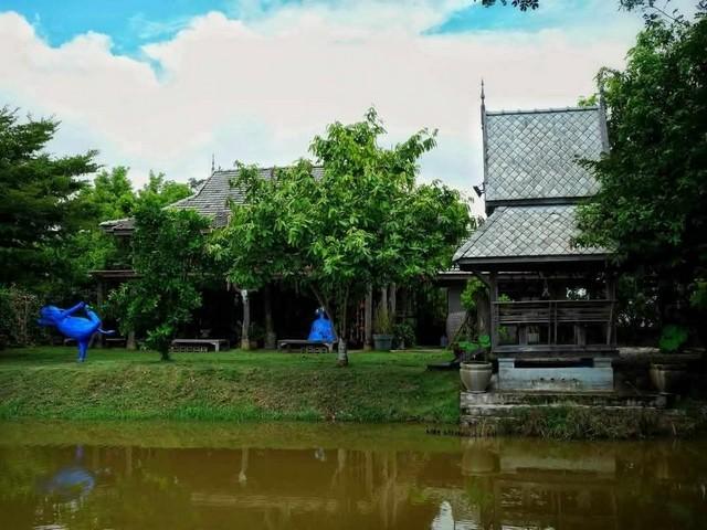 ขายที่ดิน 2-1-0 ไร่ บ้านธิ ลำพูน ใกล้สนามบินใหม่ เหมาะทำรีสอร์ต-เวิร์กช็อป-คาเฟ่ วิวพาโนรามา เพียง 13 ล้าน