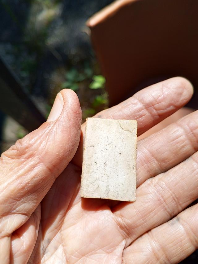 ให้เช่าพระสมเด็จเกศไชโยเจ็ดชั้น 7