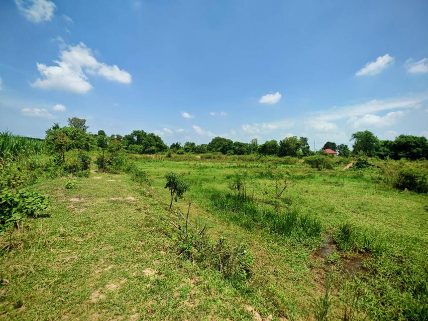 ขายที่ดินผืนงาม 22 ไร่เศษ ติดถนนใหญ่ โซนสีเหลือง อ.แปลงยาว ฉะเชิงเทรา (เขต EEC) – เหมาะแก่การลงทุน ท 11