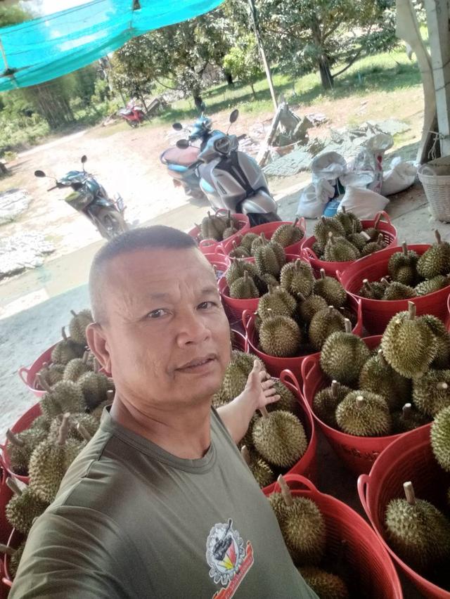 ที่ดินทำเลทอง บ้านพร้อมสวนทุเรียน 5