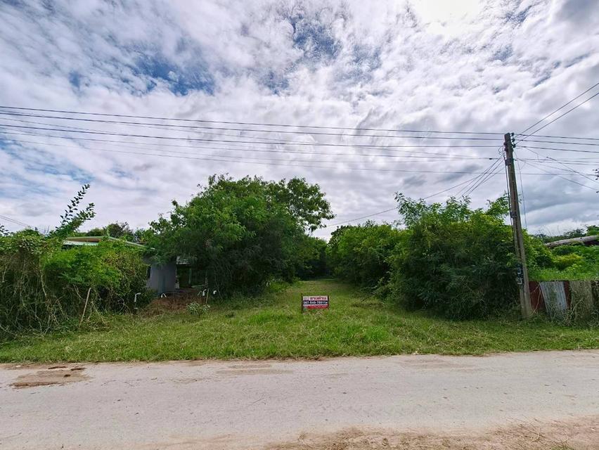 ที่ดินเปล่า ถนนทางหลวงชนบท อบ. 4030 ต.หนองผักนาก อ.สามชุก จ.สุพรรณบุรี