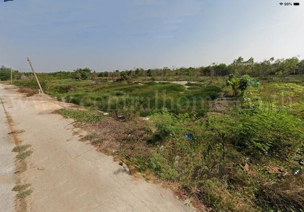 ที่ดินเปล่า 156.7 ตร.วา ถมแล้ว บัวปากท่า บางเลน - นครปฐม