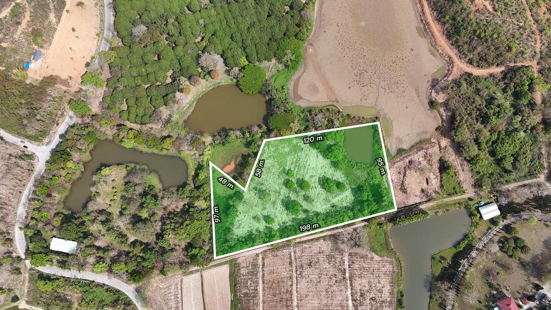 ประกาศขายที่ดิน ทำเลศักยภาพ ใกล้ไร่ชาฉุยฟง ตำบลศรีค้ำ อำเภอแม่จัน จังหวัดเชียงราย 57110 7