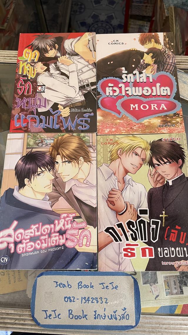 หนังสือการ์ตูนวาย BL เล่มเดียวจบ หนังสือบ้าน 4