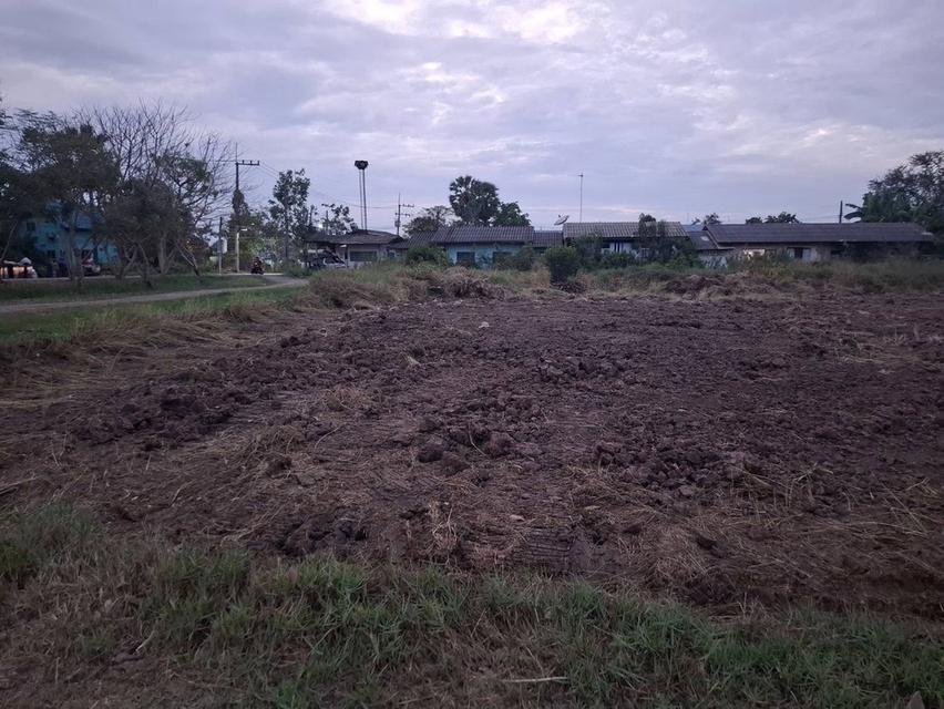 ขายที่ดินในตัวเมืองบางคล้าเนื้อที่ 4 ไร่ ติดถนน2ด้านซอยซ.ราษฎรอุทิศ หลังการประปา อ.บางคล้า จ.ฉะเชิงเทรา 4