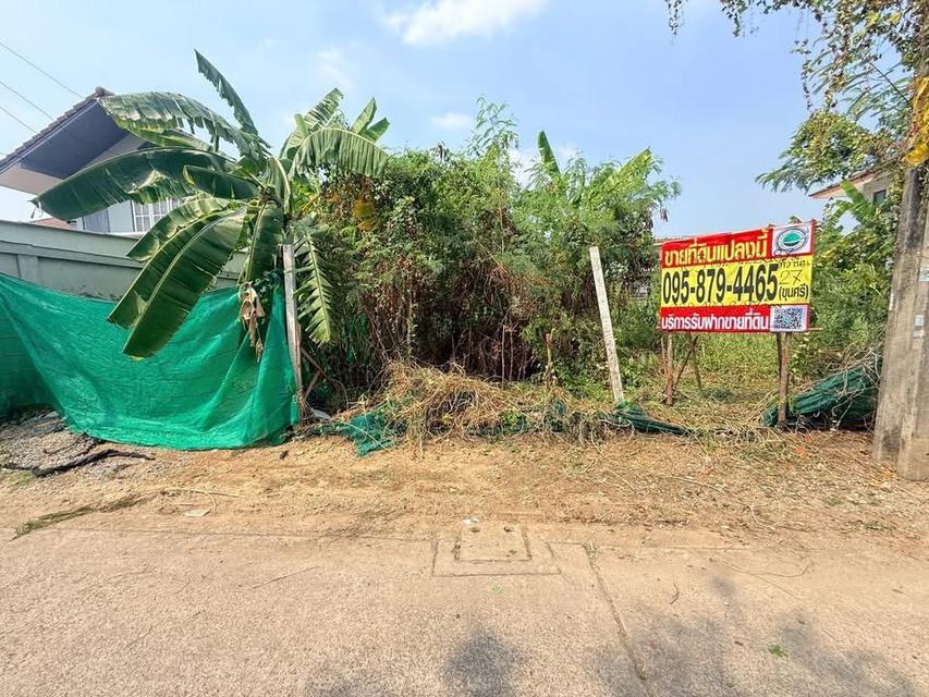 Vายทีดิน 103 ตารางวา ติดถนนคอนกริตสาธารณะ ซอย ติวานนท์ 27 เมืองนนทบุรี รูปย่อยที่ 2