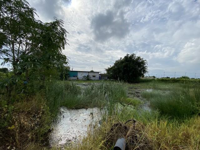 ขายที่ดินเปล่า ทำเลดี เจ้าของขายเอง ตำบลคลองด่าน อำเภอบางบ่อ สมุทรปราการ 11