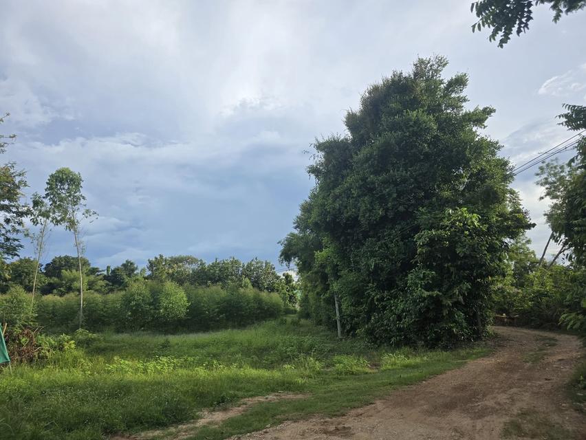 ขายที่ดินเมืองสระแก้ว 3 ไร่ หลังTOYOTAสระแก้ว ใกล้ถนนสุวรรณศร33-800เมตร จ.สระแก้ว 1