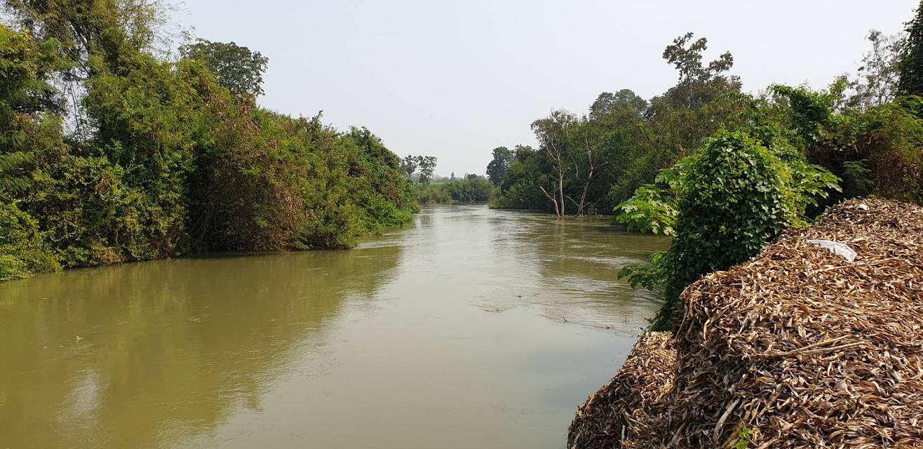 💫ขายที่ดิน💫 พร้อมโรงเรือนกล้วยไม้ 43ไร่ 2งาน กำแพงแสน นครปฐม เพียง 650,000/ไร่ 11