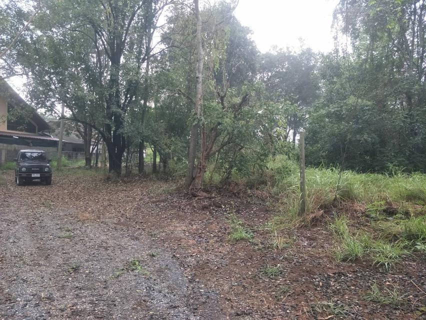 ที่ดิน มีโฉนด อ.ปากช่อว นครราชสีมา 2