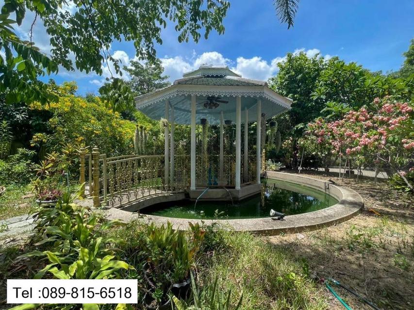 บ้านเดี่ยวติด BTS โรงเรียนนายเรือ โซนเทพารักษ์ 191 ตร.วา สุขุมวิท ซอย 27 เมืองสมุทรปราการ 6